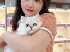 -lincat·猫舍(广州店)