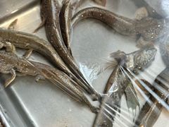 -华盛丰温州大排档(东三环南路店)