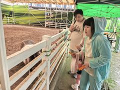 -深圳野生动物园