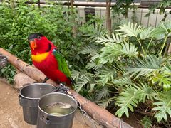 -南宫五洲植物乐园