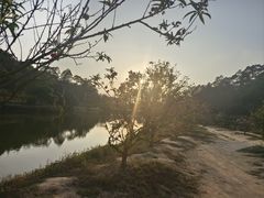 -南国桃园旅游度假区