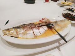 清蒸鲥鱼-福1039(愚园路店)