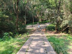 -青龙山国家森林公园