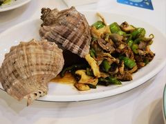 大王螺炒辣椒-金海湾海鲜排档(朱家尖店)