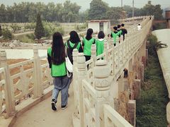 -东方巨龟苑景区