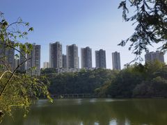 -重庆彩云湖湿地公园