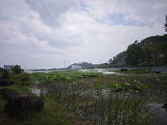 -新安江山水画廊风景区