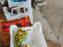 -马陆小张葡萄园农家乐