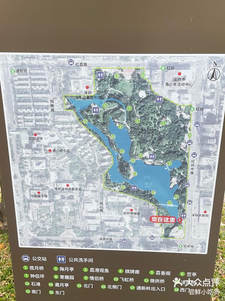 因为很多荔枝所以叫荔枝公园⛲