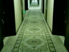 -维也纳国际酒店·上海虹桥火车站国家会展中心店