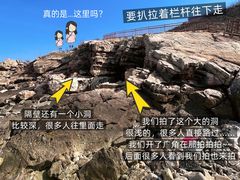 -养马岛旅游度假区