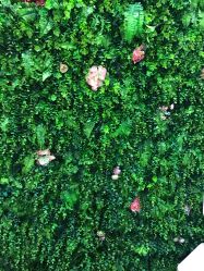 -七十二变梦工场(天兴·罗斯福国际大厦店)