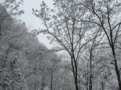 -秦岭终南山世界地质公园翠华山景区