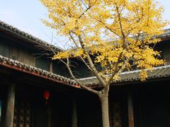 -鄞州雪菜博物馆