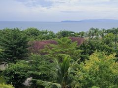 -三亚海棠湾万丽度假酒店