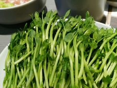 -夫妻肺片·中华老字号·正宗川菜(春熙路店)