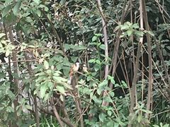 -人民公园(罗湖区)