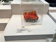 -湖南省地质博物馆