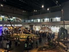 -自贡恐龙博物馆