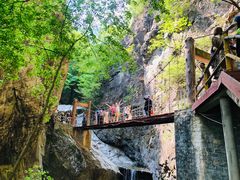 -牛背梁国家森林公园