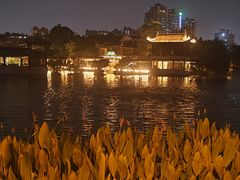 -荔湾湖公园
