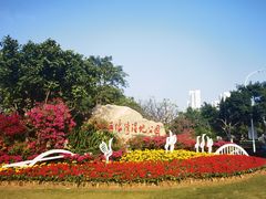 -五缘湾湿地公园