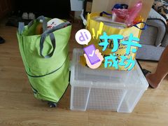 -吴淞炮台湾湿地森林公园烧烤区