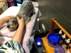 -Oh My Dog宠物沙龙(伊珊娜皮毛护理店)