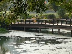 -大关公园