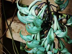 -上海植物园·停车场