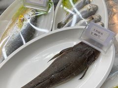 -大众海鲜(巨龙北路店)