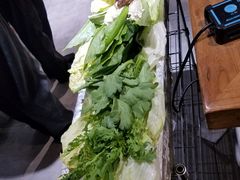 -友乐居羊蝎子(西直门店)