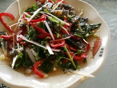 拌鱼皮-京北渔家傲
