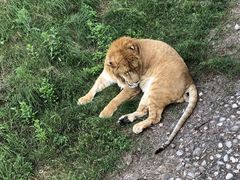 -西安秦岭野生动物园