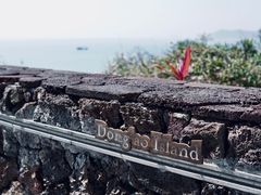 -东澳岛