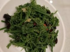 -金狮麟·新豫菜(金码大厦店)
