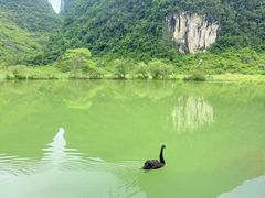 -靖西鹅泉风景区