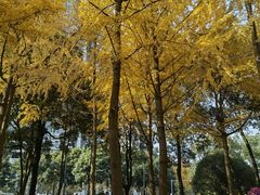 -温江公园