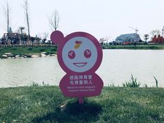 -荷兰花海