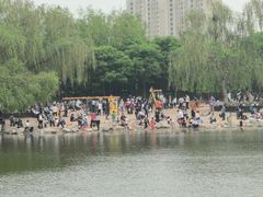 -大兴滨河森林公园