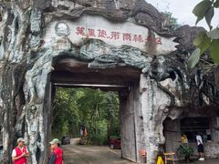 -莫里热带雨林景区