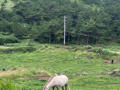 -松岳山