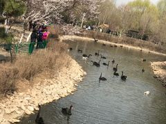 -长白岛森林公园