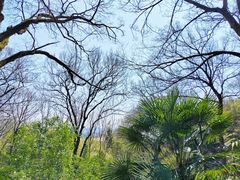 -上海佘山国家森林公园西佘山园