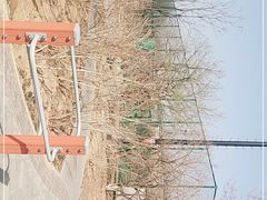 -回龙观体育文化公园
