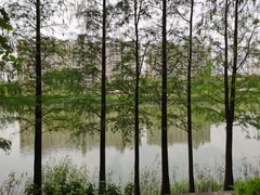 -怡海公园(桂城街道)