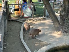 -成都欢乐谷