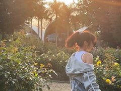 -人民公园(罗湖区)