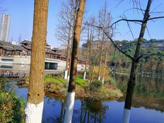 -重庆彩云湖湿地公园