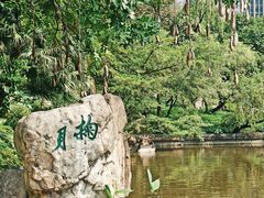 -广州珠江公园